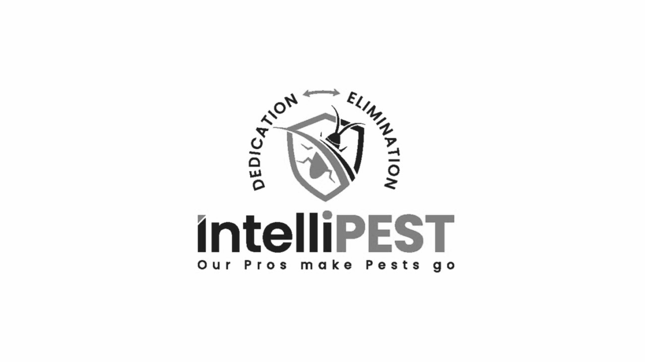 Black and White New Logo Intellipest 11.25.24
